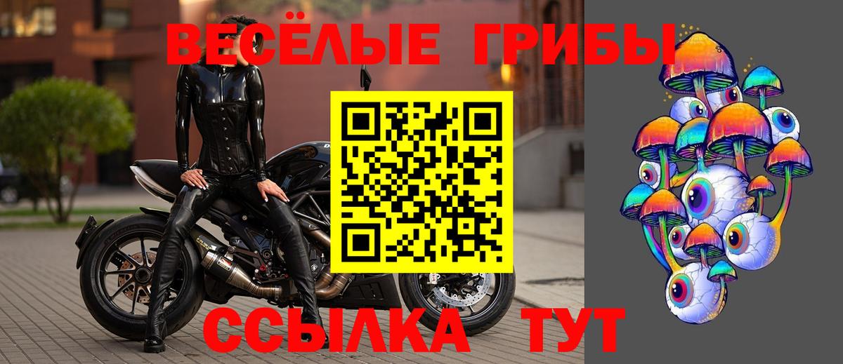 Псилоцибиновые грибы Cubensis Кумертау